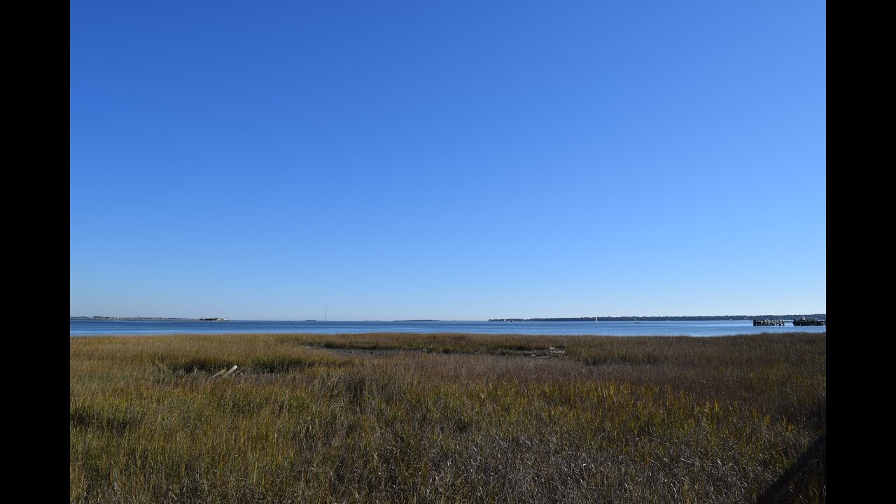 Decolonize Conservation Review