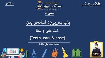 Teeth Ear and Nose| Science Class IV| Lesson 2| Chapter 1| Sindh Online School| ڏند، ڪن ۽ نڪ