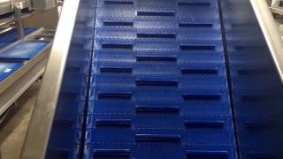 Conveyor Hopper for Potato Grader