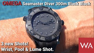 OMEGA Seamaster Diver 300m Black Black 