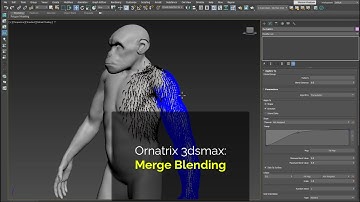 Ornatrix 3dsmax: Merge Blending