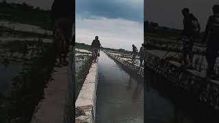 Kegiatan Karang Taruna