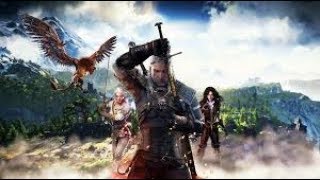 GTX 660 + i5 2500 | TEST THE WITCHER 3