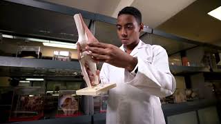 Estudia Medicina En Uninorte