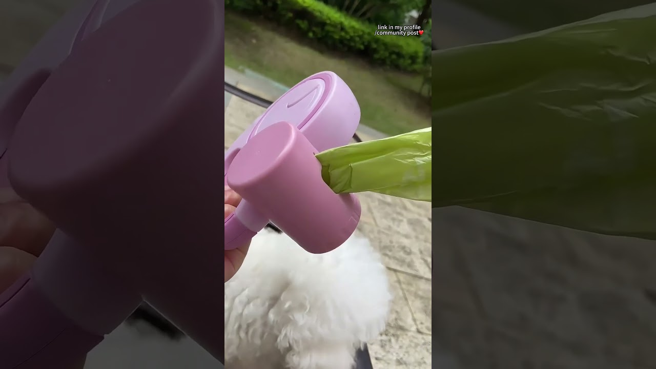 Ultimate 3-in-1 Retractable Dog Leash – Designed for Convenience, Safety, and Style! 🚶‍♂️🐕