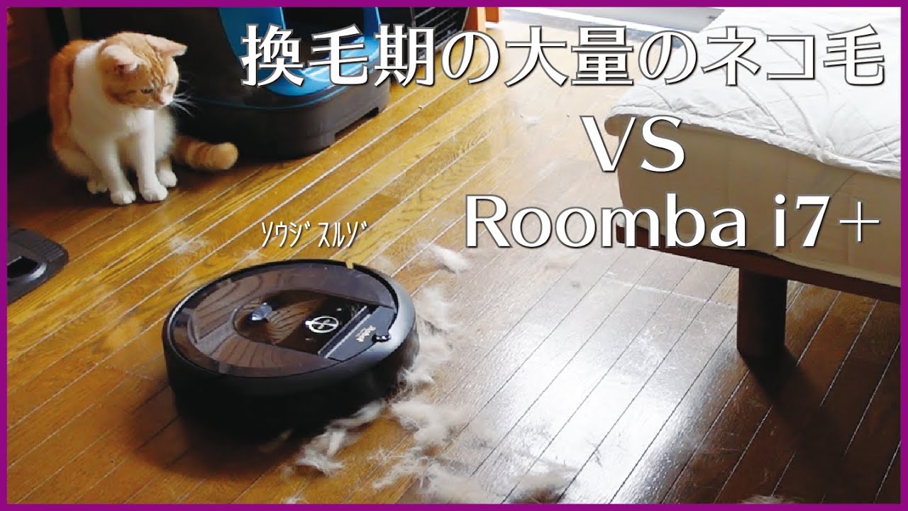 Roomba 換毛期の大量のネコ毛 Vs ルンバi7 マンチカン Youtube