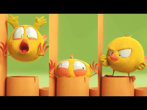 видео: Where's Chicky ? 😅 MAGIC FLUTE - NEW episodes in HD