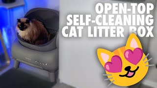 Neakasa M1: Open-Top Self-Cleaning Cat Litter Box