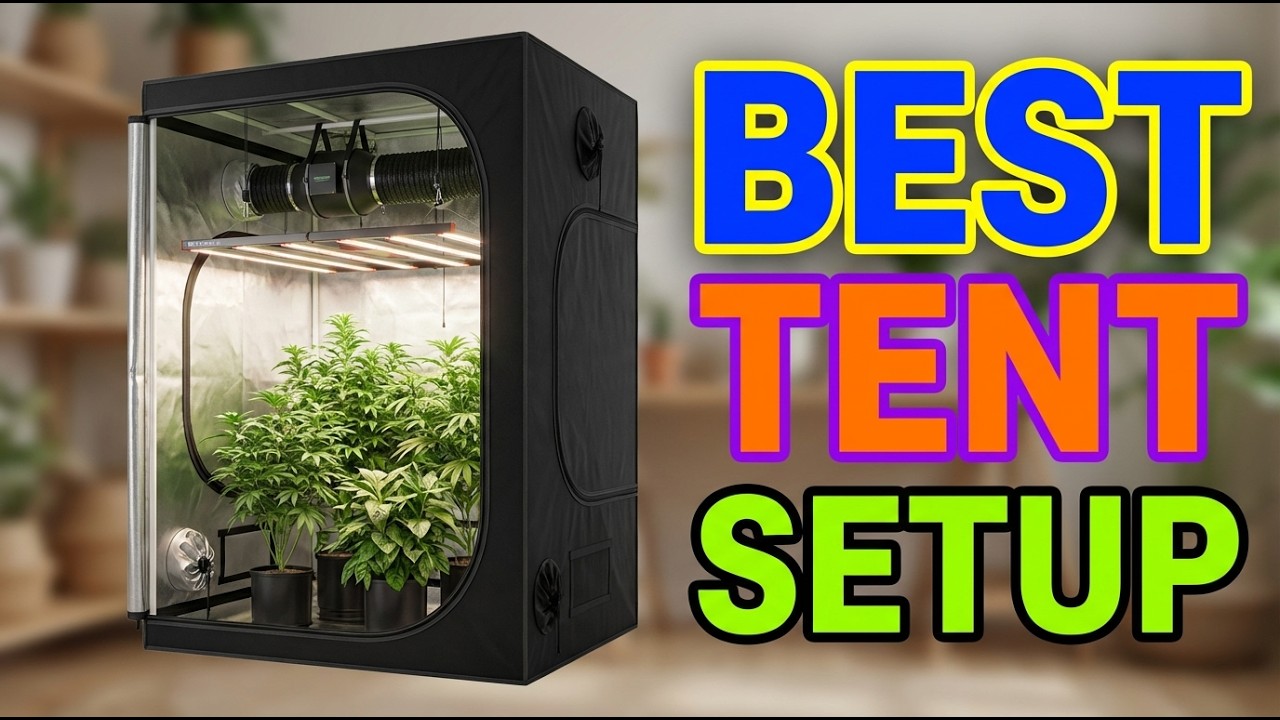 TOP 5 Best Grow Tent Setup For Beginners 2026
