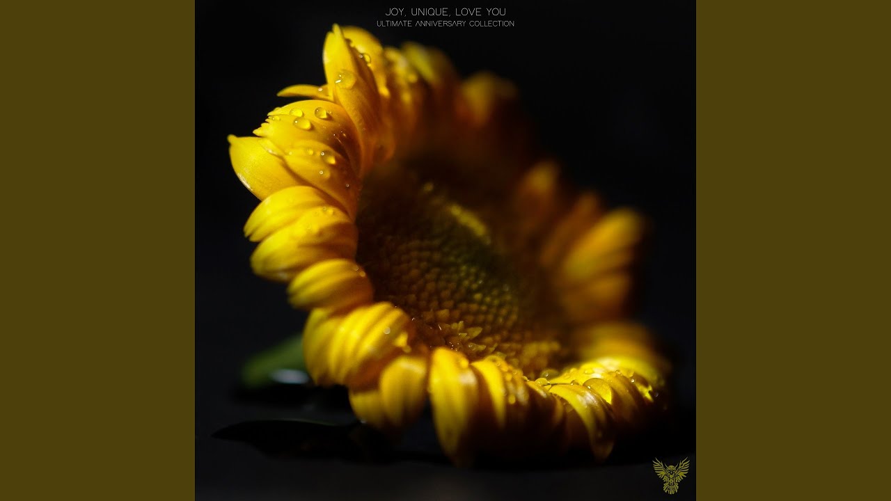 Sunflower Eyes YouTube