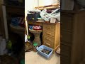 I Explore My DREAM Paper Engineer Office!