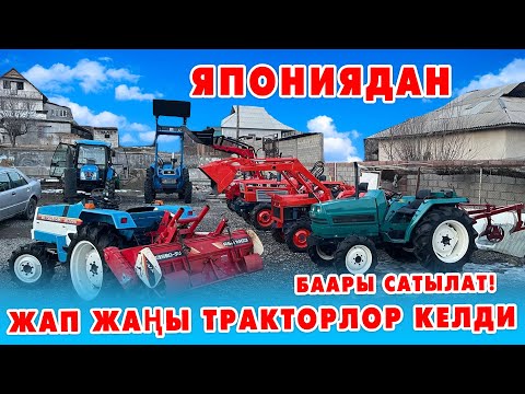 Video: Beaulieu дарыясындагы жыгач жумуртка. Стивен Тернер тарабынан көркөм объект