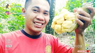 MAKAN BUAH CEMPEDAK KING | LANGSUNG DI KEBUN by Yumat Official 140 views 2 years ago 6 minutes, 44 seconds