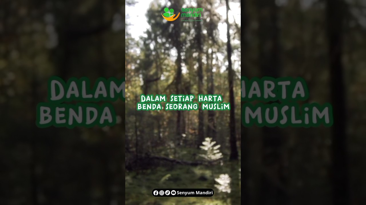 Apa Itu Zakat Mal Dan Apa Saja Sih Syarat Untuk Mengeluarkan Zakat Mal Apa Itu Zakat Mal Dan Apa Saja Sih Syarat Untuk Mengeluarkan Zakat Mal
