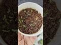 Growing petunias from seeds - the full process #gardening #diy