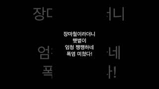 [유튜브 #쇼츠일기] 기상청은 믿을 수 없어 - 2025.6.30