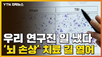 [자막뉴스] 뇌 손상 치료 길 열렸다...국내 연구진 처음 확인 / YTN