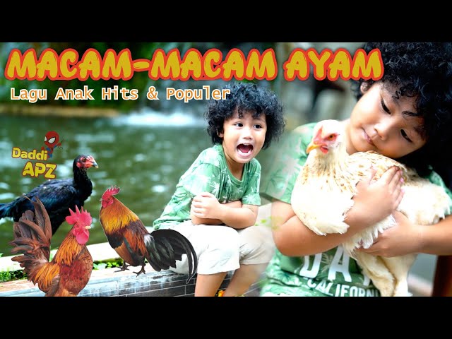 Lagu Macam Ayam Populer | Lagu Macam - Macam Ayam | Lagu Anak Hits Dan Populer Sepanjang Masa class=