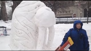 Walrus sculpture in downtown Watertown - Watertown Daily Times