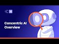 Concentric AI Overview