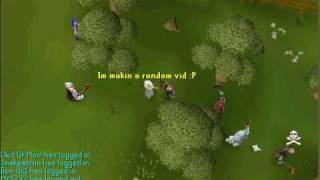 clip0029.avi