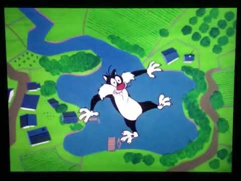 Canyon Fall Gag Compilation But With Non Road Runner Cartoons 