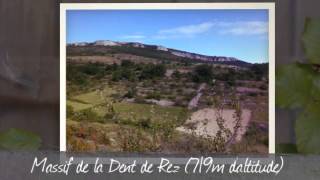 Office de tourisme de Larnas