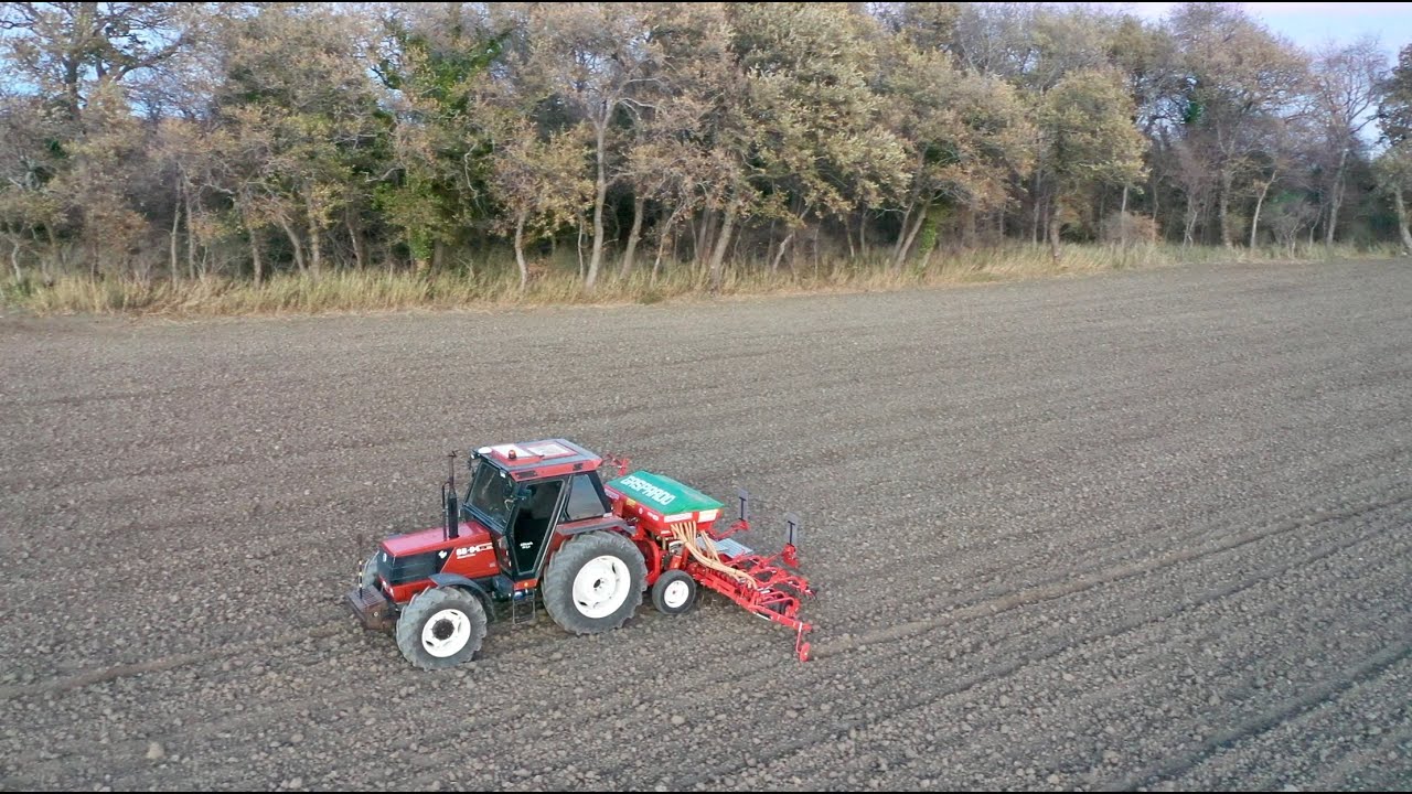 Semina grano 2023🌱- Fiatagri 88-94 dt & Gaspardo Pina 400
