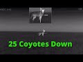 25 Coyotes down Pulsar Thermal