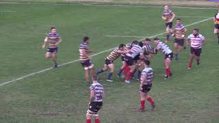 Nick Champion De Crespigny 20192020 Season