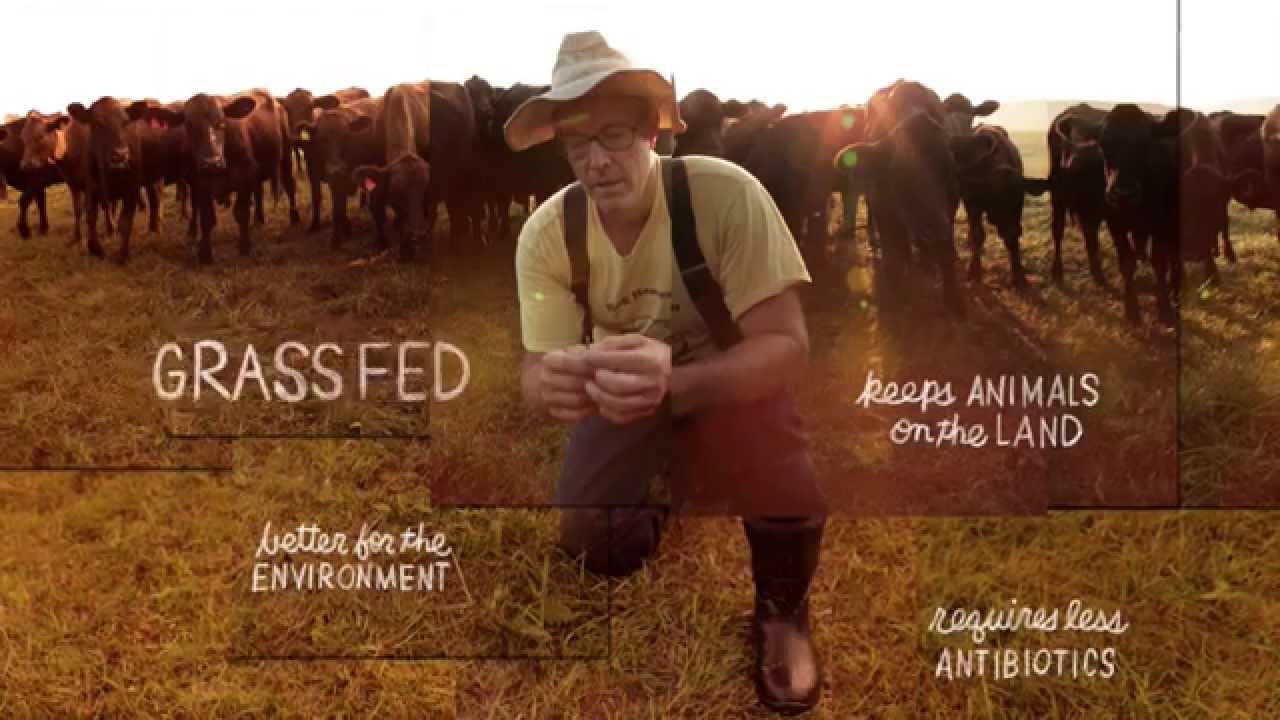 Grass Fed | The Lexicon of Sustainability | PBS Food