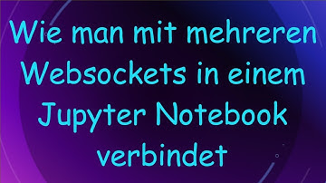 Wie man mit mehreren Websockets in einem Jupyter Notebook verbindet