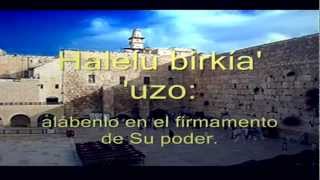 Miniatura de "Tehilim 150 Halleluyah! Alabanza A Yahweh! Salmo 150. Hebreo/ espanol."