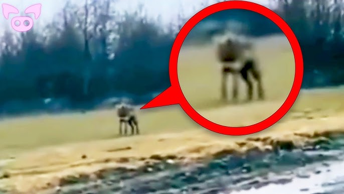 Can Anyone Explain This Scary Footage? - YouTube