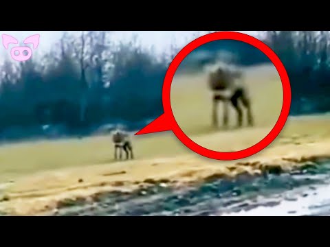 Can Anyone Explain This Scary Footage?