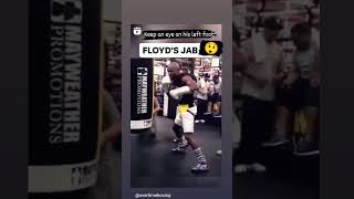 Floyd Mayweather&#39;s jab #boxing #fitness #gym #legends