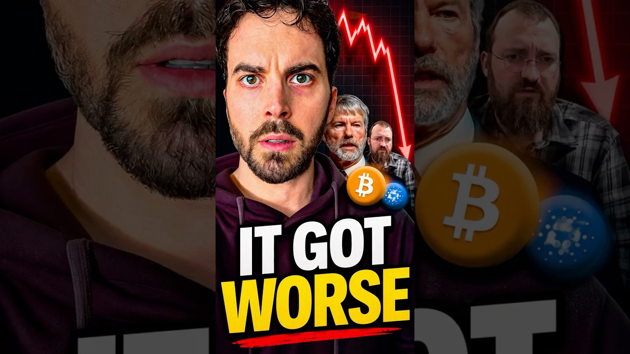 Vignette The Real Reason Crypto Is CRASHING