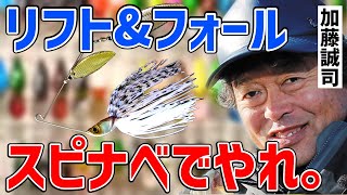 【加藤誠司】スピナベはこう使えば釣果UPする 【秦拓馬/バス釣り】