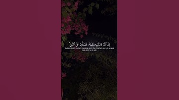 القارئ ماهر المعيقلي | سورة الاحزاب # #قرآن #القرآن_الكريم #ماهر_المعيقلي #قران_كريم