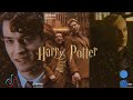 Harry Potter TikTok POVs (Part 20)