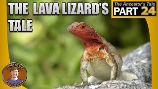 The Lava Lizards Tale