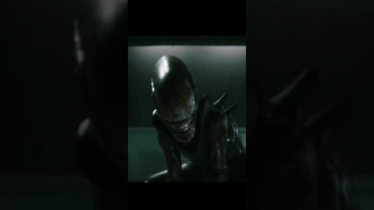 Xenomorph Annihilates Everyone On Wendy's Command Edit  #shorts #shortvideo