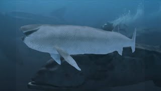 DWM Leedsichthys Showcase (Happy New Year) screenshot 5