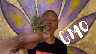 💨GMO - STRAIN REVIEW