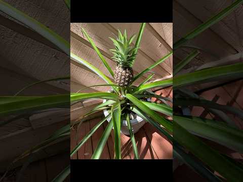 زمان می بره اما ارزشش رو داره