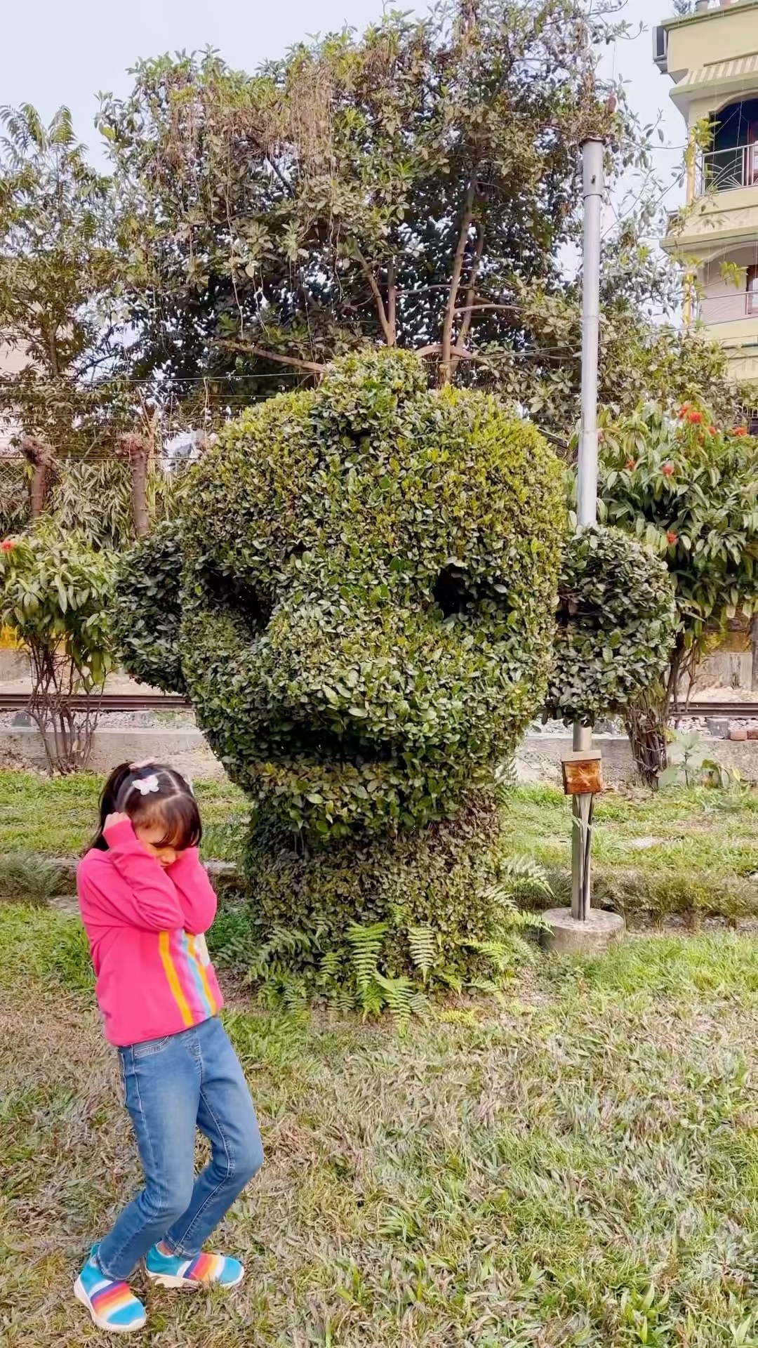 Reedishna Plant Ko Bhoot Samaj Li