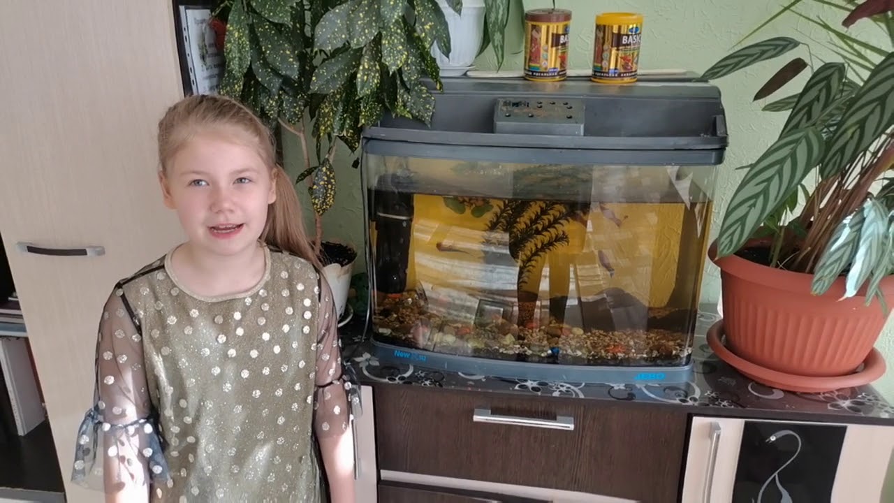 детский дом 74 новокузнецк. детский дом 8 комсомольск на амуре. приют для детей. садик гнездышко дюртюли. дети в детских домах.