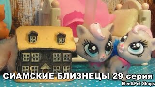 LPS Сиамские близнецы 29 серия