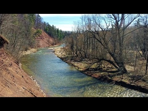 Spring in Lions Valley Park