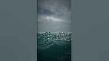 Học và Hỏi - Liệu bạn có mắc hội chứng sợ biển sâu không? #khampha #thalassophobia #facts